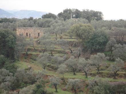 Image of Asnoun Image of Asnoun
