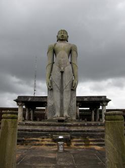 Gambar Karkala Gambar Karkala