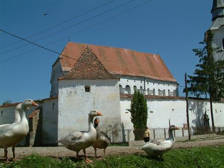 Bild von Dârjiu Bild von Dârjiu