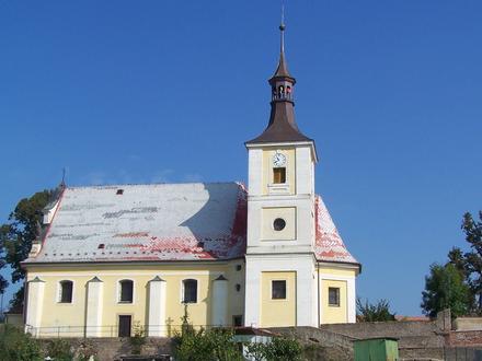 Obrázok Holohlavy Obrázok Holohlavy