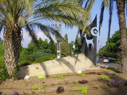 Image of Ein Ayala