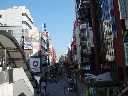 Immagine Kashiwa Immagine Kashiwa