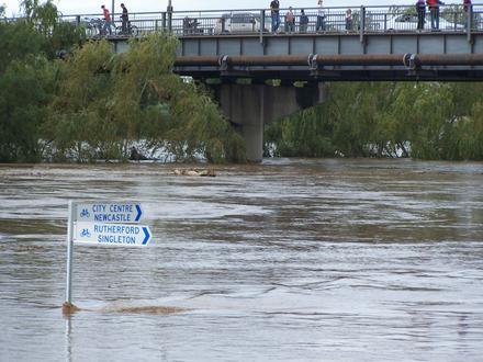 Bild von Maitland