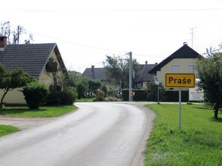 Slika Praše Slika Praše