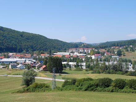 Slika Mirna