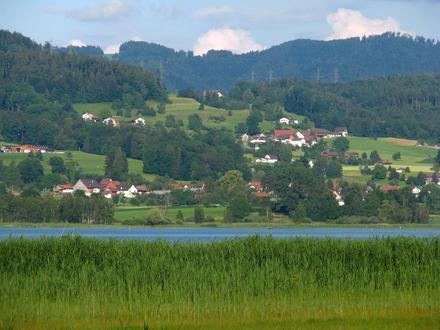 Bild von Auslikon
