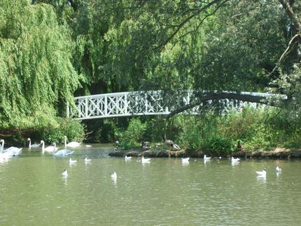 Immagine St Neots
