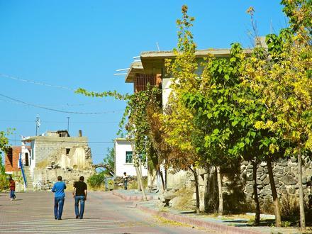 تصویر اسیگل تصویر اسیگل