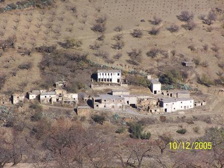 تصویر المگیجار تصویر المگیجار