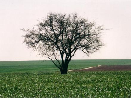 Image de Ein Hashlosha