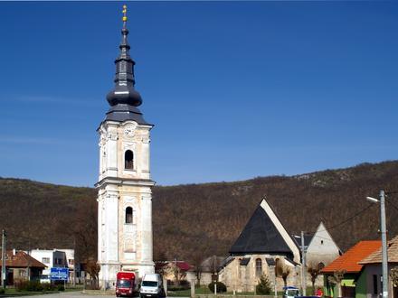 Obrázok Plešivec Obrázok Plešivec