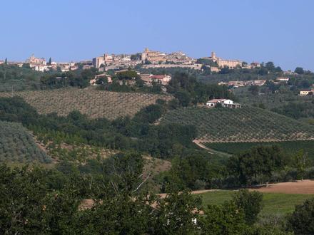 Immagine Montefalco Immagine Montefalco