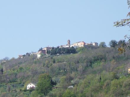 Immagine Rosora