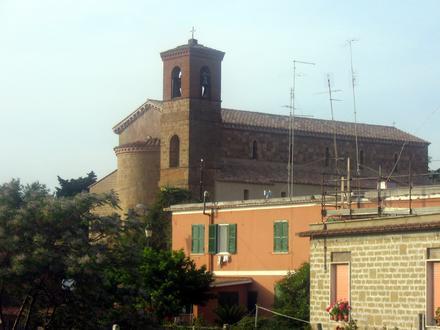 Immagine Ardea Immagine Ardea