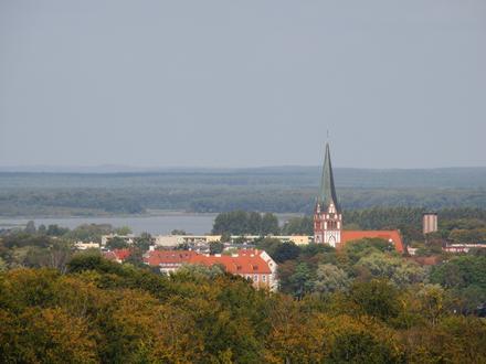 Ščecineka attēls Ščecineka attēls