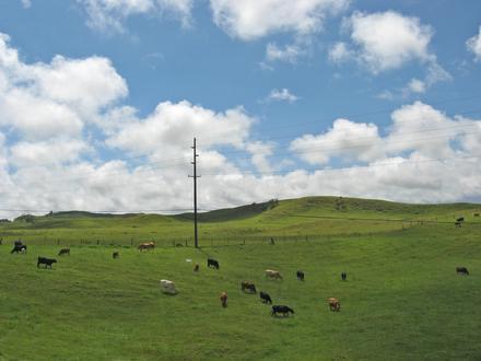 Image de Waimea Image de Waimea