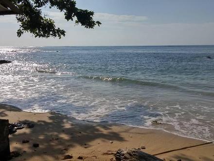 Immagine Lingig Immagine Lingig