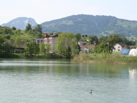 Immagine Wangen (Svitto)