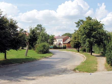 Immagine Gniewoszów Immagine Gniewoszów