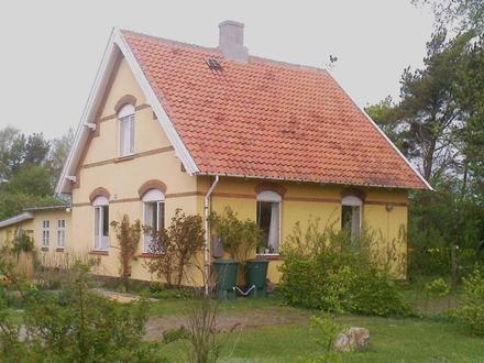 Billede af Balka Billede af Balka