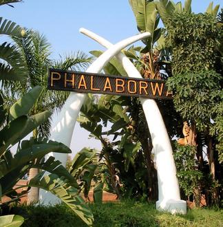 Bild von Phalaborwa