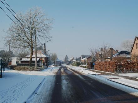 Afbeelding van Zemst