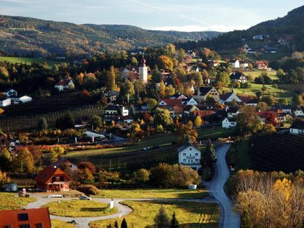 Immagine Puch bei Weiz