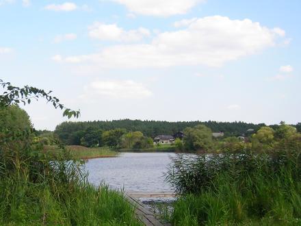 Bild von Kodra
