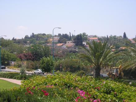 Bild von Schelomi