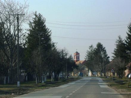 Slika Gibarac Slika Gibarac