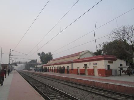 Image of Jhinjhak