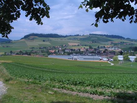 Bild von Biglen Bild von Biglen