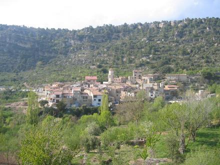 Imagen de Arbolí