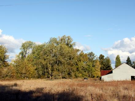 Image of Ellendale, Oregon