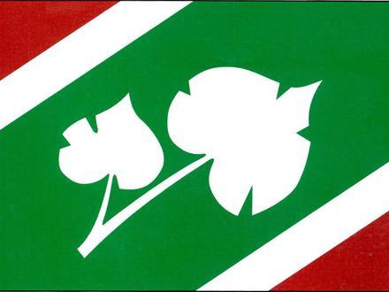 Obrázok Tatobity Obrázok Tatobity