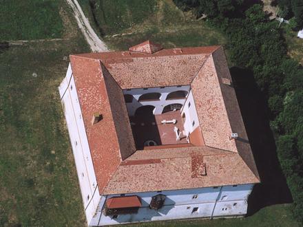 Image of Ozora