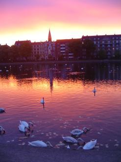 Immagine Indre By
