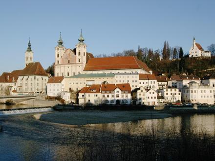 Steyr Image