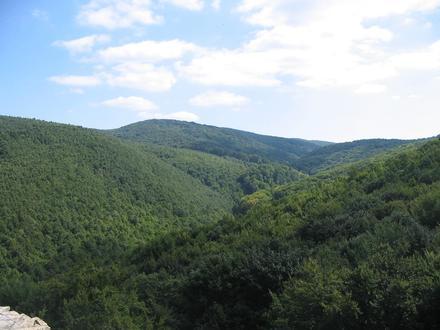 Slika Maraza