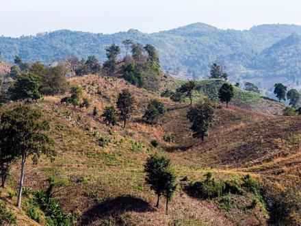 Bild von Amphoe Tha Wang Pha