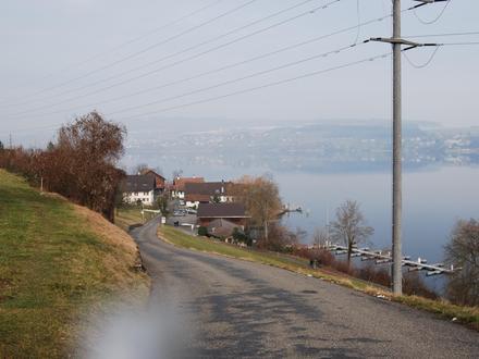 Bild von Birrwil