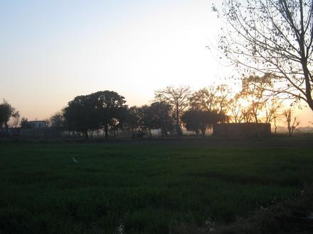 Image of Amra Kalan