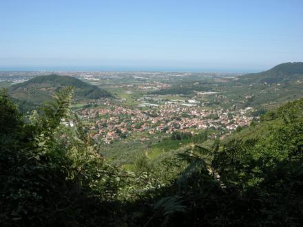 Immagine Massarosa Immagine Massarosa
