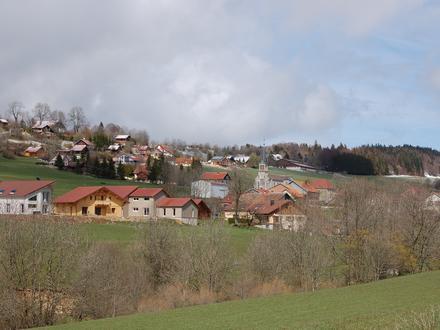 Imagen de Les Alliés Imagen de Les Alliés