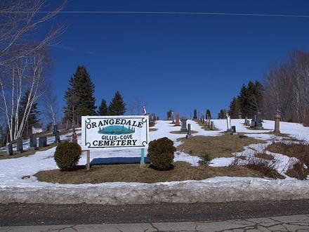 Image de Orangedale