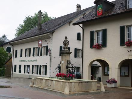 Bild von Gingins Bild von Gingins