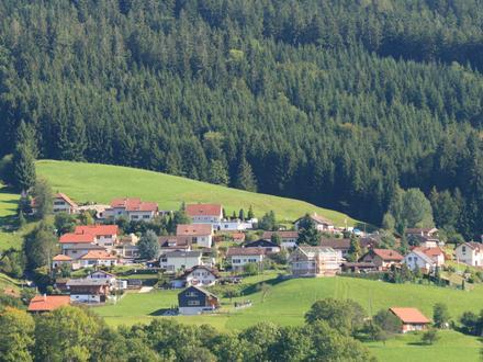 Bild von Plasselb