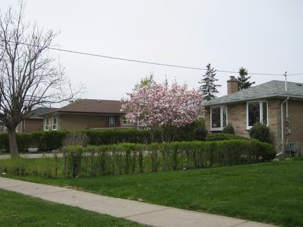 Image of Rexdale Image of Rexdale