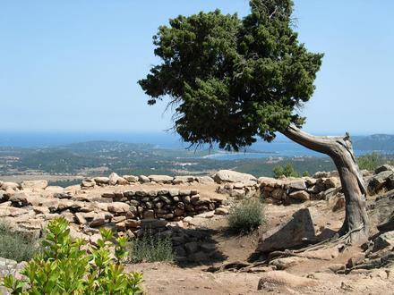 Bild von Porto-Vecchio