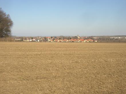 Immagine Tursko